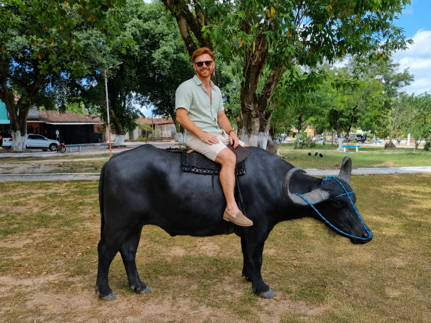 Lipe en una experiencia con búfalos en Marajó