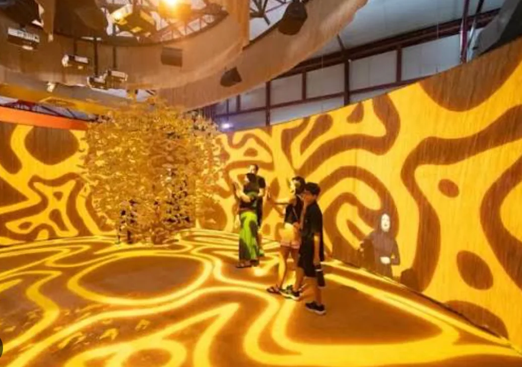 Immersive room with golden projections at Museu das Amazônias