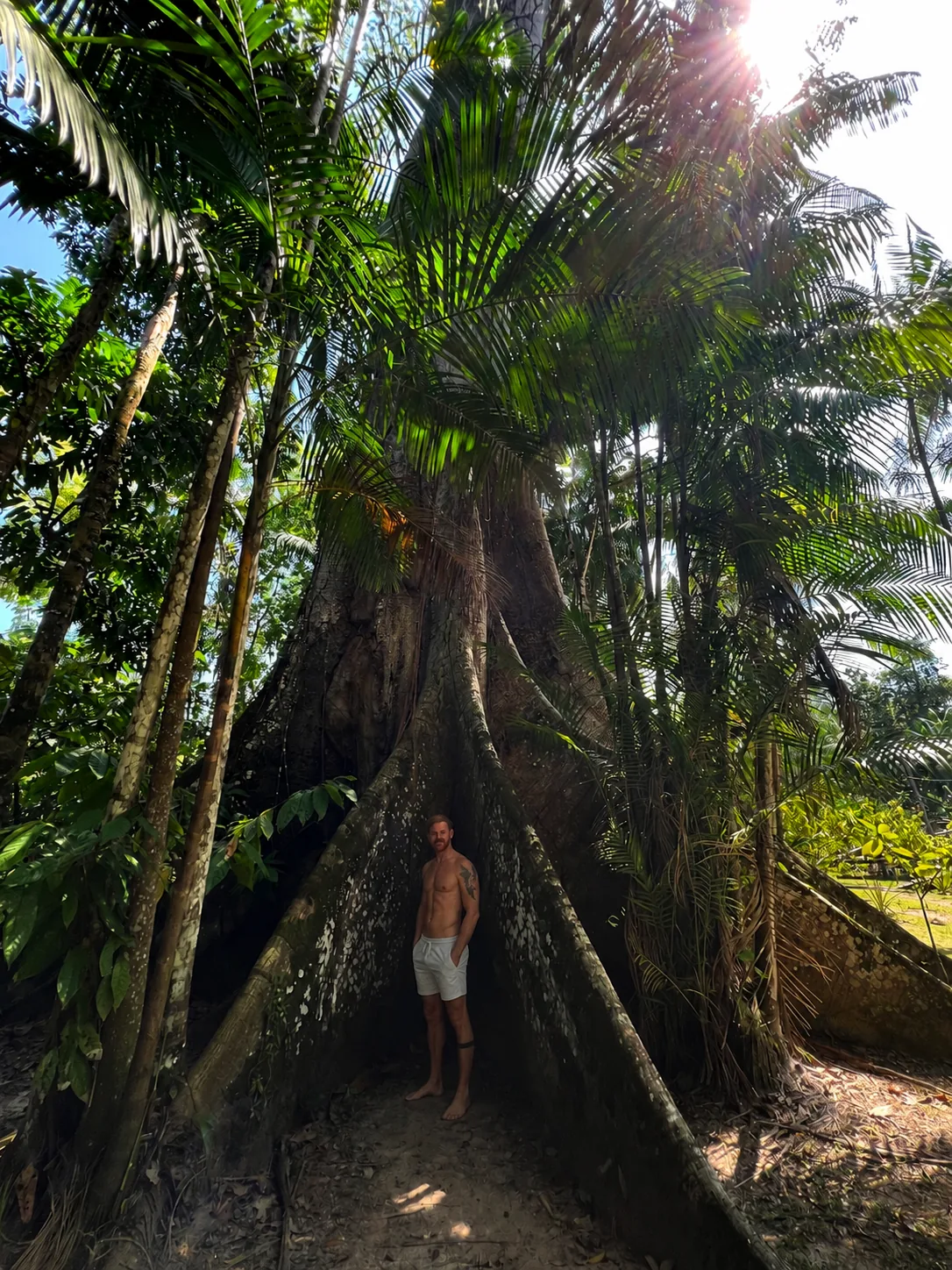 Lipe beside the monumental roots of a kapok tree in the Amazon forest