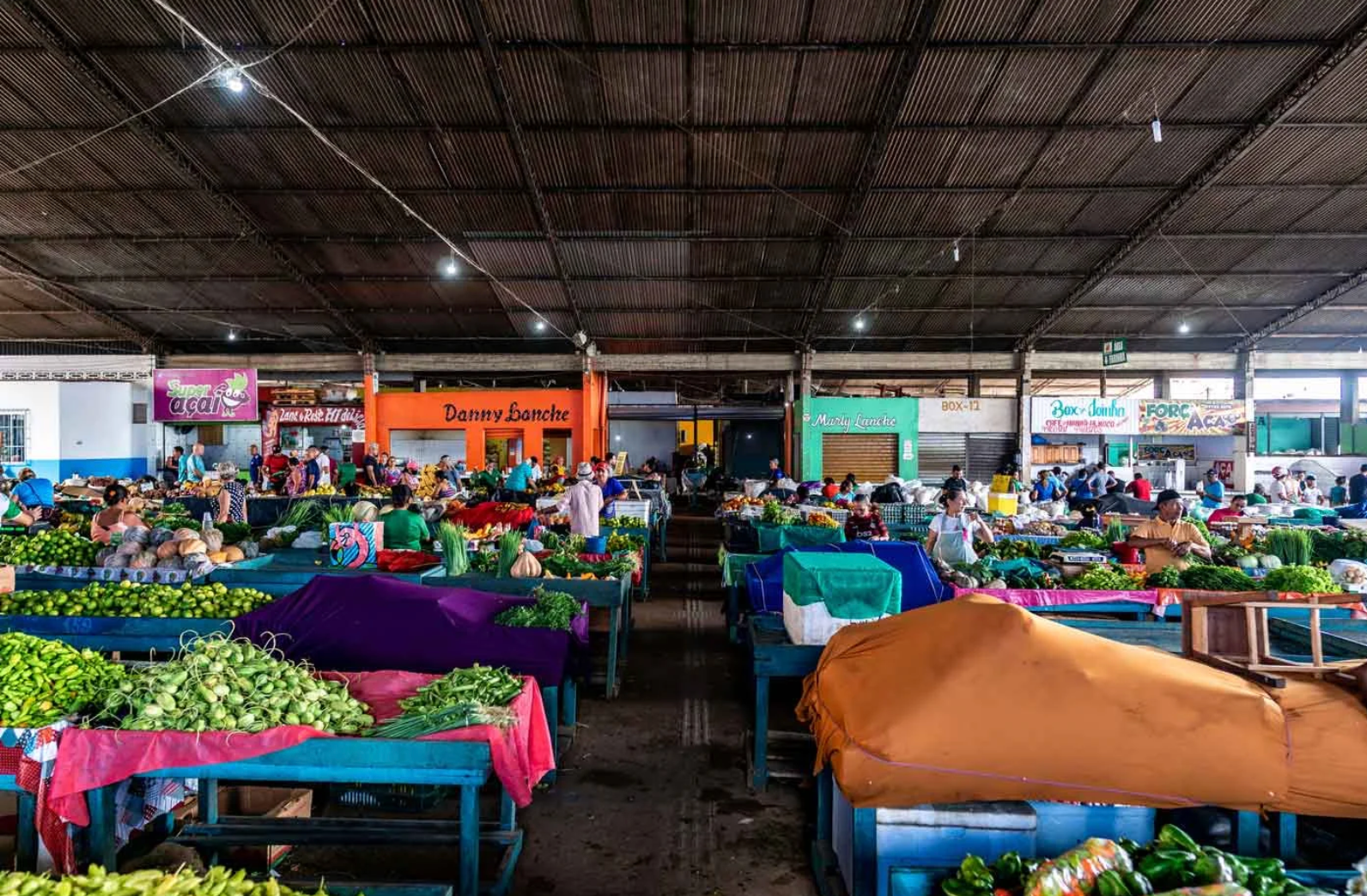 Santarém market with stalls and regional produce