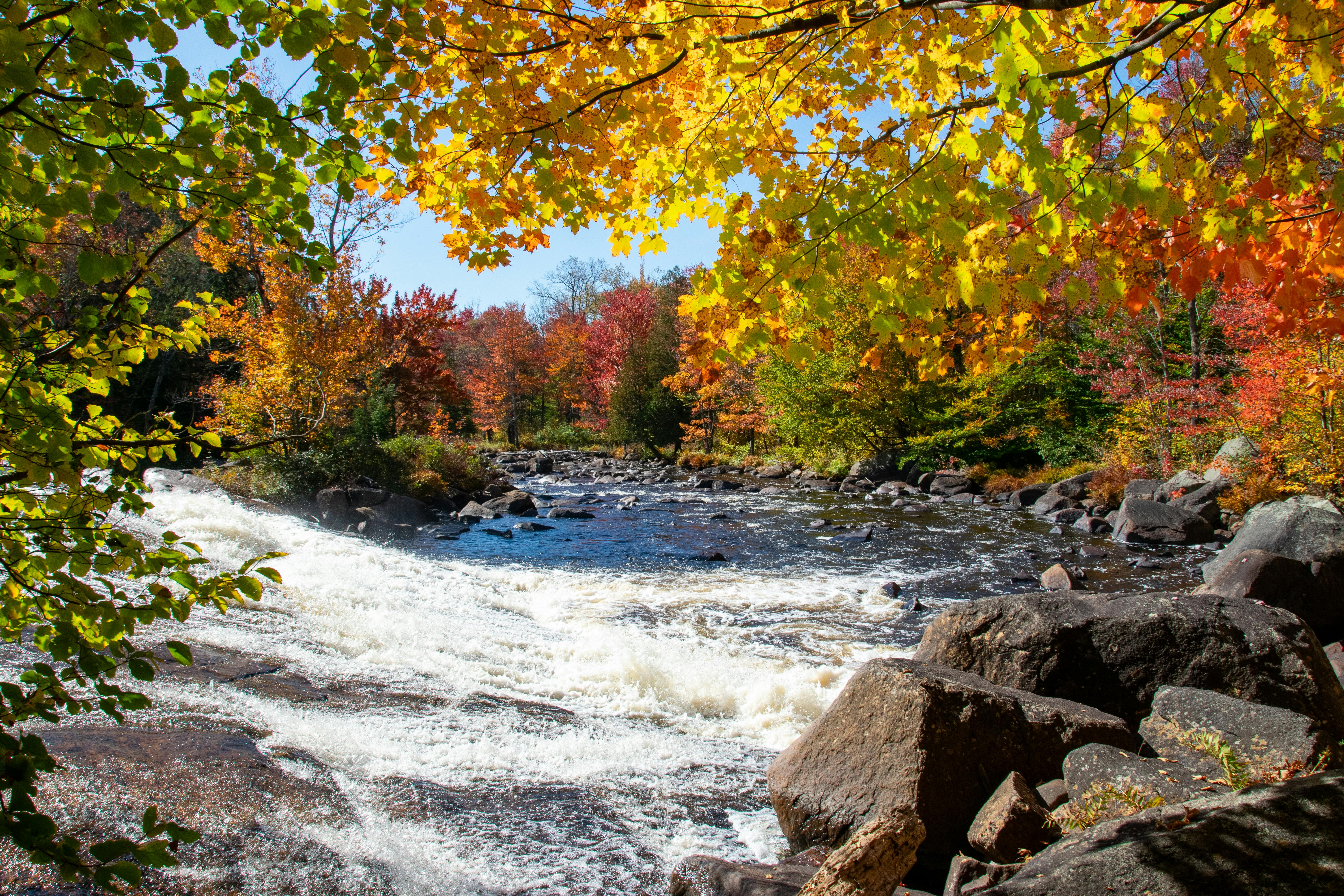 Fall foliage, upstate and road trips
